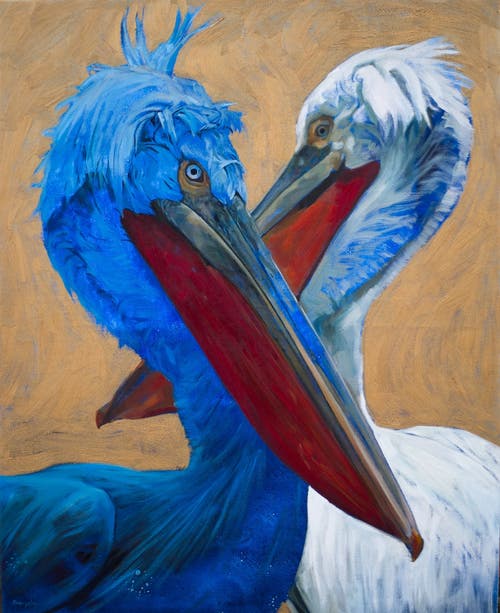 Picture of Blue Pelican