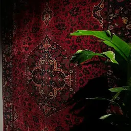 Avatar for Ali Fazlipour