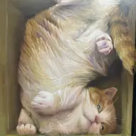 Avatar for Leah Ferreira