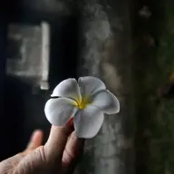 Avatar for Sangita Boro