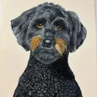 Avatar for Amy Williams