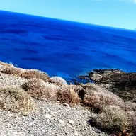 Avatar for Onni Helisten