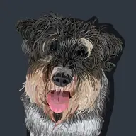 Avatar for Evan Louise Andrews