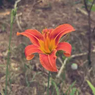 Avatar for Hope Hadley-Rodger