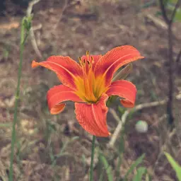 Avatar for Hope Hadley-Rodger