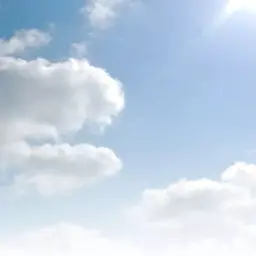 Avatar for Tamanna Panjwani