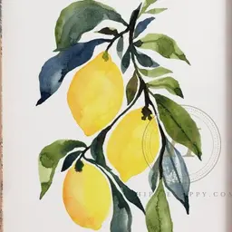 Avatar for Sanjana Vikramasha