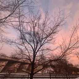 Avatar for Ben Andrew