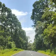 Avatar for Shalini J