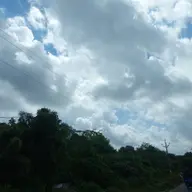 Avatar for Meet Patel