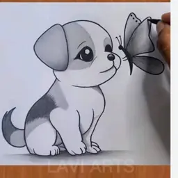 Avatar for Yashraj Singh