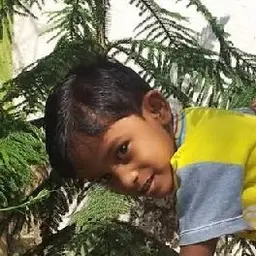 Avatar for Adhi ...