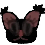 Avatar for Gillian Indrizzo