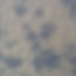 Avatar for pratibha bhore
