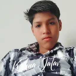 Avatar for Krishna Jatav