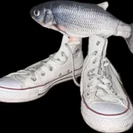 Avatar for Odie Diaz