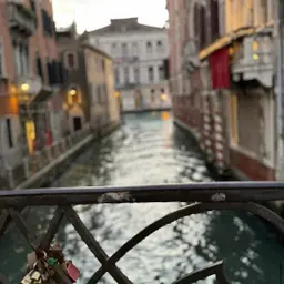 Avatar for Celine Schürmann