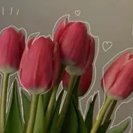 Avatar for Priyanshi Dalai