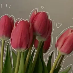 Avatar for Priyanshi Dalai