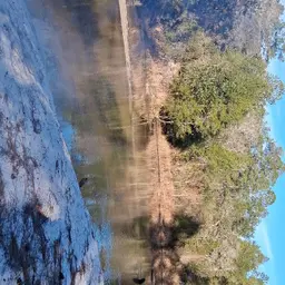 Avatar for Anna Delpozo