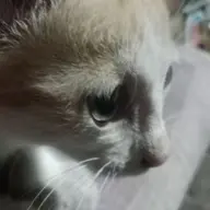 Avatar for Elsa Cam