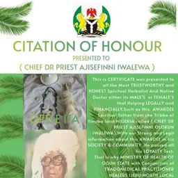Avatar for The Best Powerful traditional spiritual Herbalist Man In Nigeria