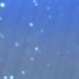 Avatar for Artem kejeer