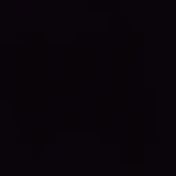 Avatar for Naitik Salaria