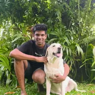 Avatar for udula chathuranga