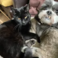 Avatar for Carly Jensen