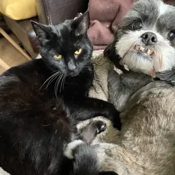 Avatar for Carly Jensen