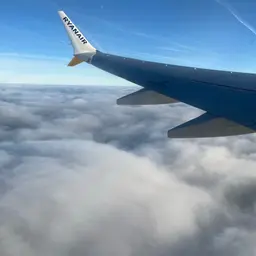 Avatar for Isabel MJ