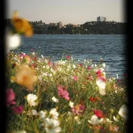 Avatar for Kiranpreet Gill