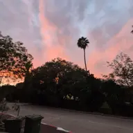 Avatar for Shai Polishook