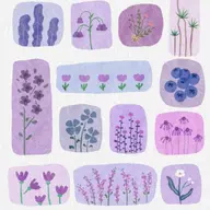 Avatar for Sandhya J