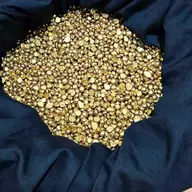 Avatar for Musa Bisubi Bisubi