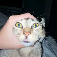 Avatar for Christian James