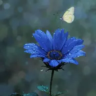 Avatar for Satyam Kurmi