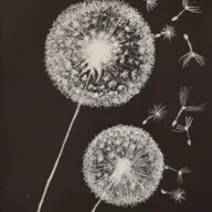 Avatar for Charlotte Penfold