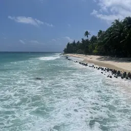 Avatar for Riddhi Singh