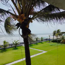 Avatar for Ayansh Sarkar