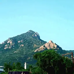 Avatar for Keerthana Y