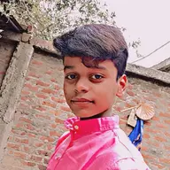Avatar for Nitu Bharti