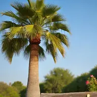 Avatar for Artist Hub