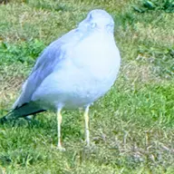 Avatar for Kristina Kramer Kramer