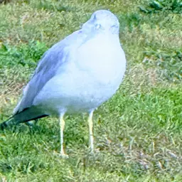 Avatar for Kristina Kramer Kramer