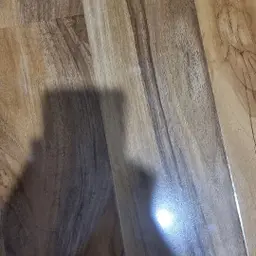 Avatar for hetal mangela