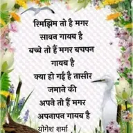 Avatar for Kailash Sharma