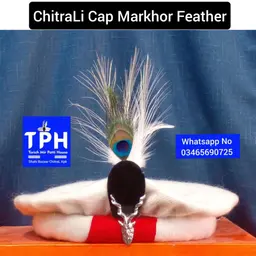 Avatar for Wali Khan