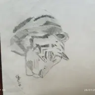 Avatar for Harshit Sharma